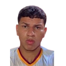 J. Meden