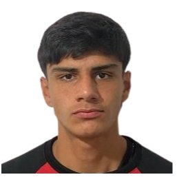 P. Romero