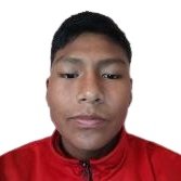 Ervin Mamani