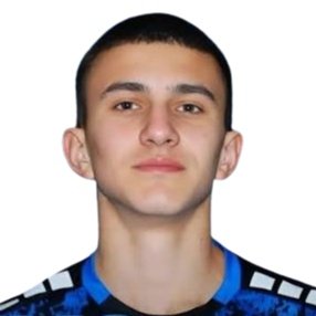 N. Brodar
