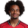 Joshua Zirkzee