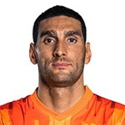 M. Fellaini