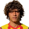 D. Capozzoli