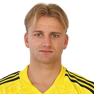 Free transfer Ludwig Zech