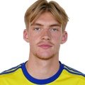 Luis Frieling