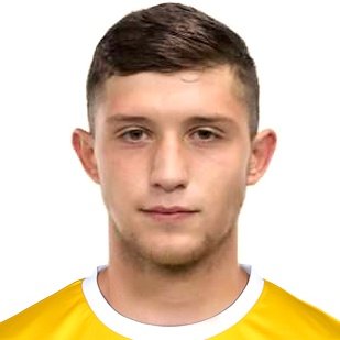 Free transfer Nikolai Rybikov