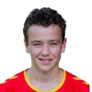 Mischa Van Der Stoel