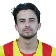 Free transfer R. Hoyer