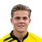 J. Van Der Werff