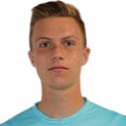 Ricardo Van Der Laan