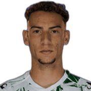 Miguel Teixeira Domingues