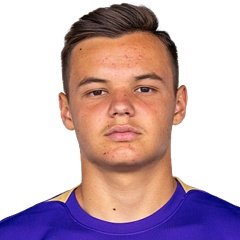 Free transfer Denis Dizdarevic