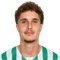 David Budimir