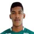 Profile of Francisco Dyogo, Flamengo: Info, news, matches and statistics