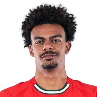 Renato Veiga