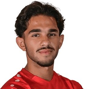 M. Hamza