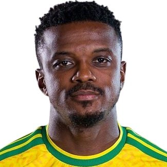 T. Mokoena