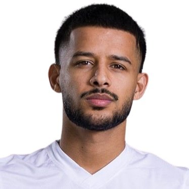 Mehdi Ghayedi