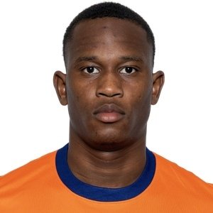 N. Kasanwirjo