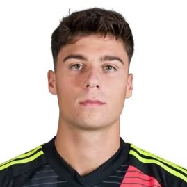 Vicent Abril