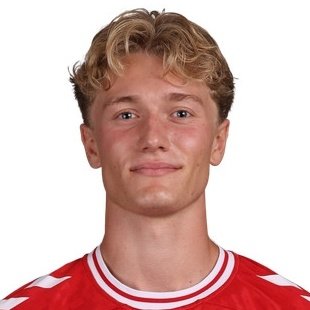 V. Gustafsen