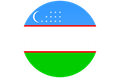 Copa Uzbekistán