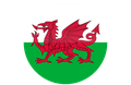 Coupe du pays de Galles