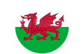 Cup Wales