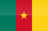Liga Camerún