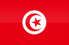 Liga Tunecina