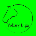 Ýokary League