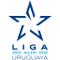 Apertura Uruguay