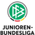 Regionalliga Sub 15