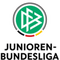 Bundesliga Sub 17