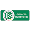 Bundesliga Sub 19 2015