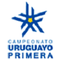 Apertura Uruguay