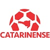 Catarinense 1 2008