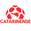 Catarinense 1