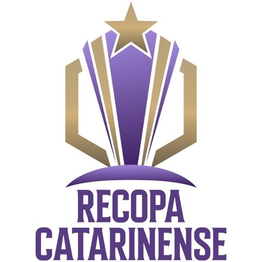 Catarinense Cup