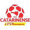 Catarinense 1 2024
