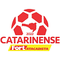 Championnat de Santa Catarina 1