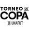 Copa Costa Rica