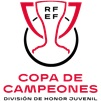 copa_campeones_division_honor