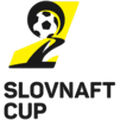 Slovak cup winner
