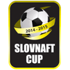 Copa Eslovaquia 2011