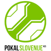 Copa Eslovenia 2005