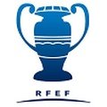 Copa Federación