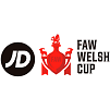 Copa de Gales 2024