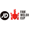 cup_wales