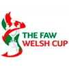 Copa de Gales 2010